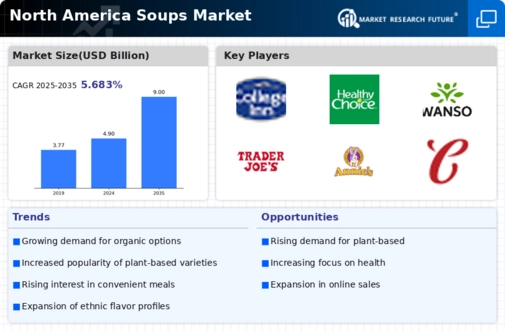 North America Soups Market Infographic