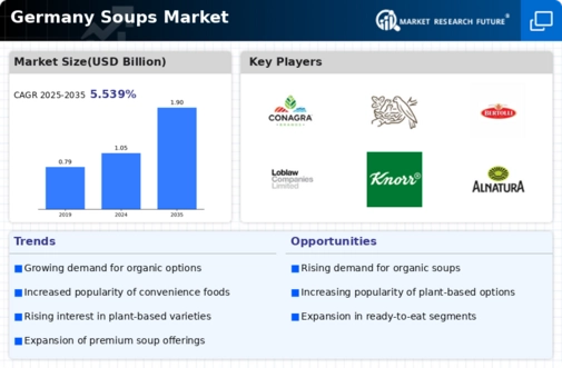 Germany Soups Market Infographic