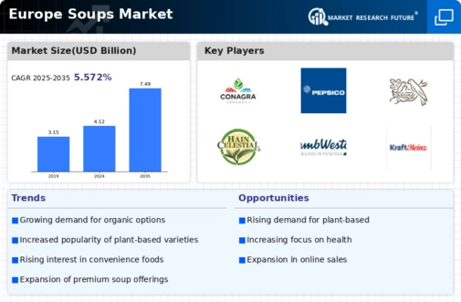Europe Soups Market Infographic