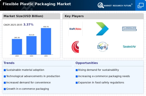 Flexible Plastic Packaging Market Infographic