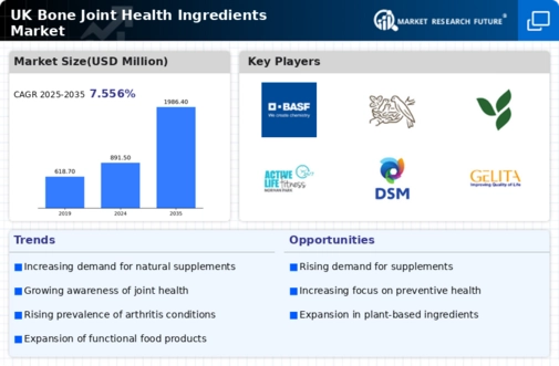 UK Bone Joint Health Ingredients Market Infographic