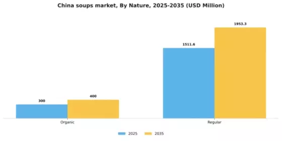 China Soups Market Segment Image 2