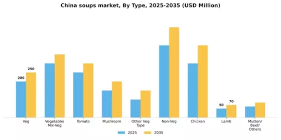 China Soups Market Segment Image 5