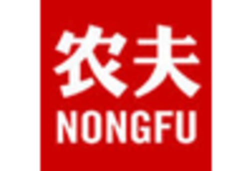 China Soups Market key player