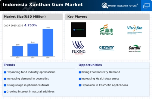 Indonesia Xanthan Gum Market Infographic