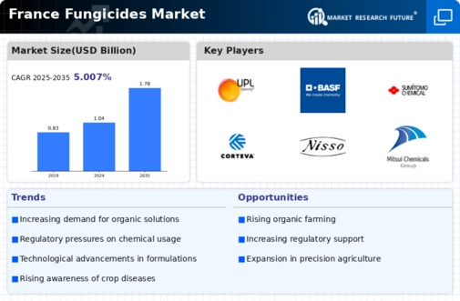 France Fungicides Market Infographic