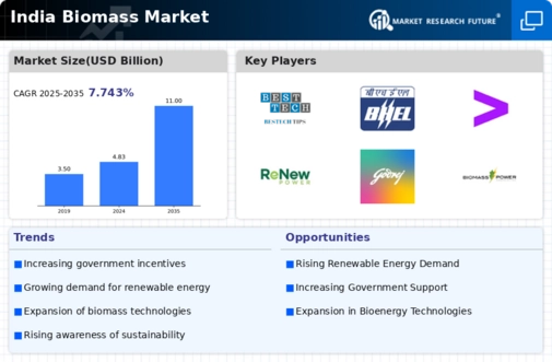 India Biomass Market Infographic