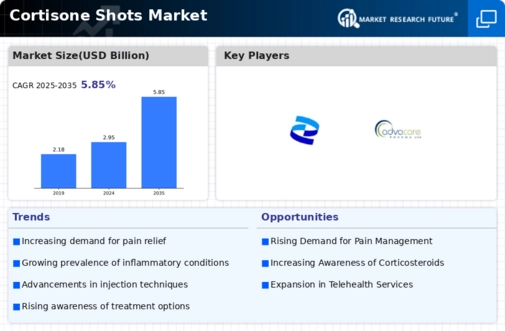 Cortisone Shots Market Research Report - Global Forecast till 2032 Infographic