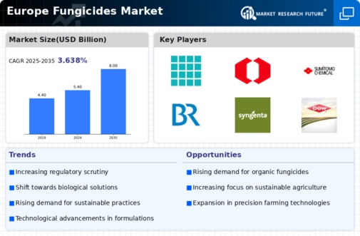 Europe Fungicides Market Infographic