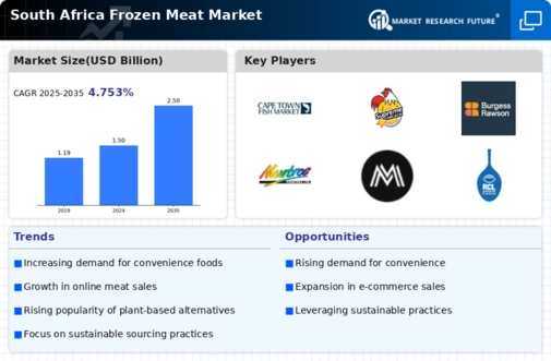 South Africa Frozen Meat Market Infographic