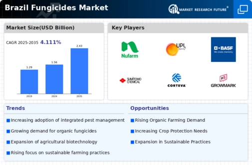 Brazil Fungicides Market Infographic