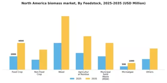 North America Biomass Market Segment Image 1