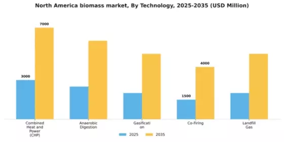 North America Biomass Market Segment Image 3