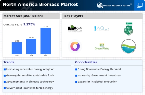 North America Biomass Market Infographic