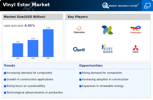 Vinyl Ester Market Infographic