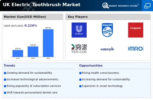 UK Electric Toothbrush Market Infographic