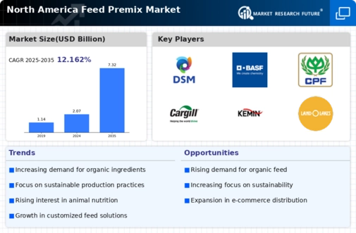 North America Feed Premix Market Infographic