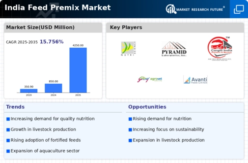 India Feed Premix Market Infographic