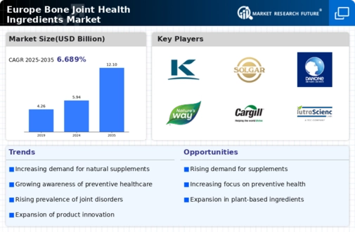 Europe Bone Joint Health Ingredients Market Infographic