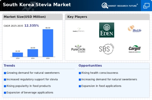 South Korea Stevia Market Infographic