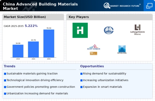 China Advanced Building Materials Market Infographic