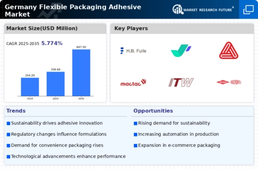 Germany Flexible Packaging Adhesive Market Infographic