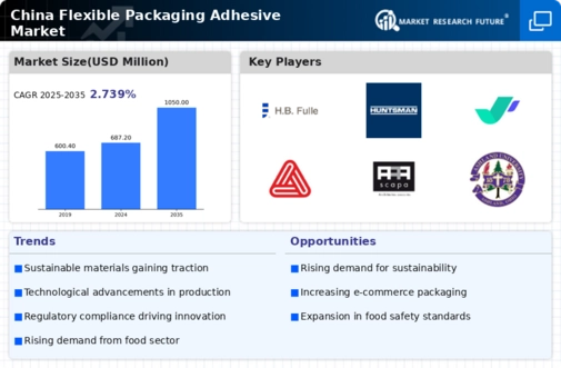 China Flexible Packaging Adhesive Market Infographic