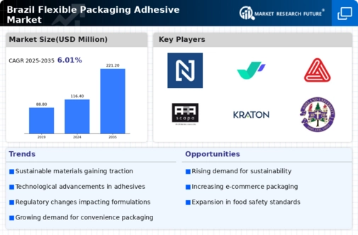 Brazil Flexible Packaging Adhesive Market Infographic