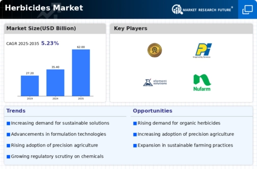 Herbicides Market Infographic