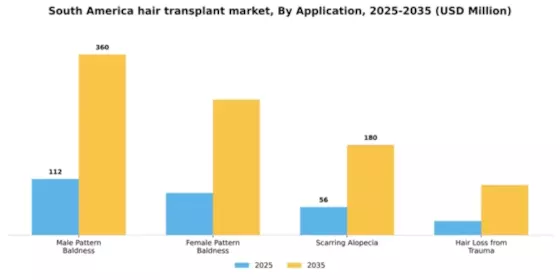 South America Hair Transplant Market Segment Image 0