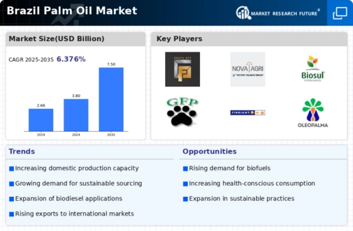 Brazil Palm Oil Market Infographic