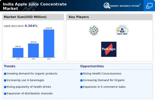 India Apple Juice Concentrate Market Infographic