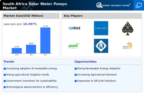 South Africa Solar Water Pumps Market Infographic
