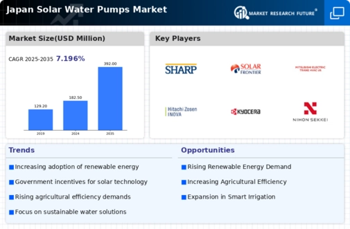 Japan Solar Water Pumps Market Infographic