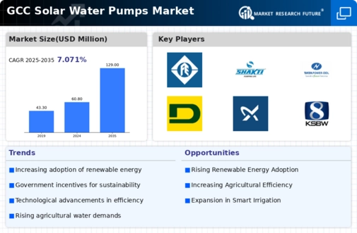 GCC Solar Water Pumps Market Infographic