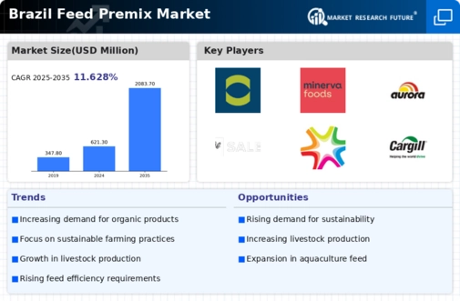 Brazil Feed Premix Market Infographic