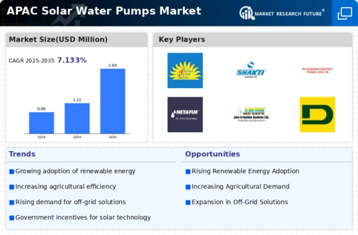 APAC Solar Water Pumps Market Infographic