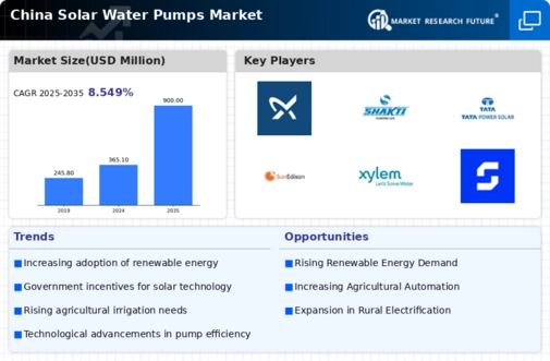 China Solar Water Pumps Market Infographic