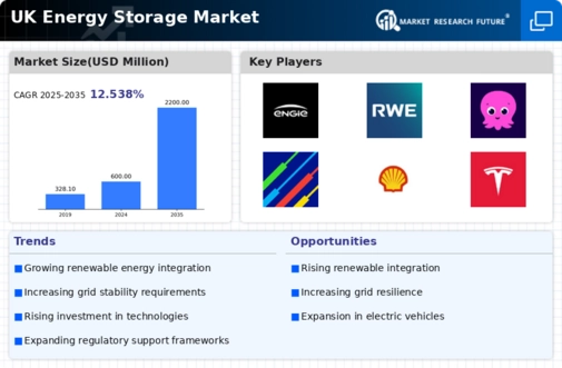 UK Energy Storage Market Infographic