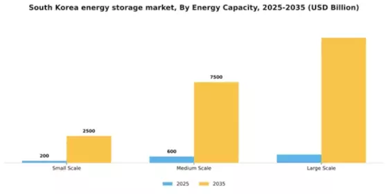 South Korea Energy Storage Market Segment Image 2