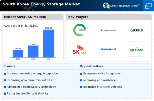 South Korea Energy Storage Market Infographic