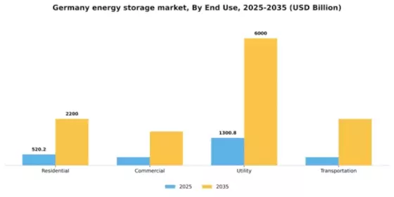 Germany Energy Storage Market Segment Image 1