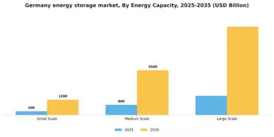 Germany Energy Storage Market Segment Image 2