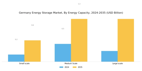 Germany Energy Storage Market Segment Image 3