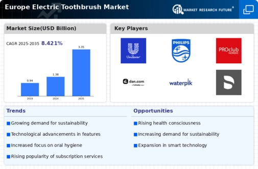 Europe Electric Toothbrush Market Infographic