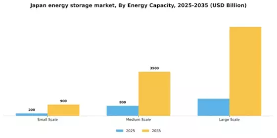 Japan Energy Storage Market Segment Image 2