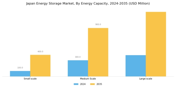 Japan Energy Storage Market Segment Image 3