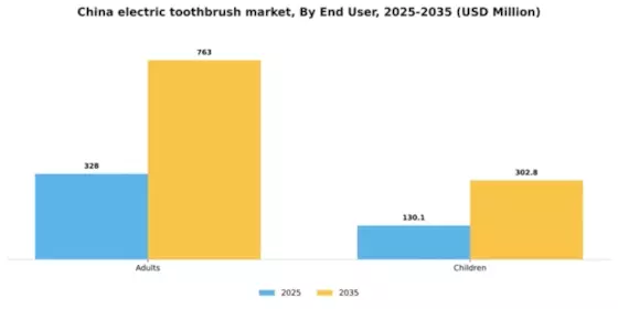China Electric Toothbrush Market Segment Image 0