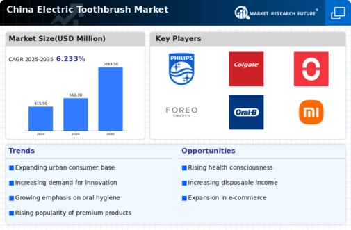 China Electric Toothbrush Market Infographic