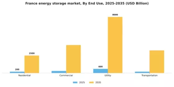 France Energy Storage Market Segment Image 1